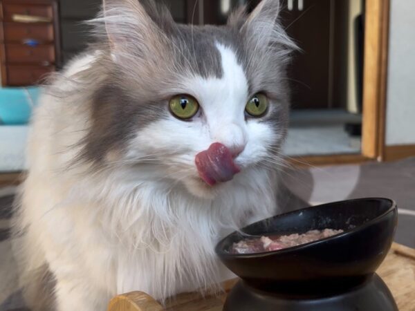 スープを食べるノア