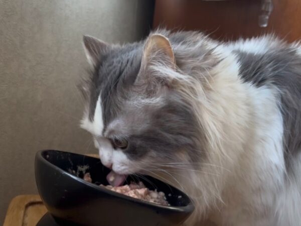 スープを食べるノア
