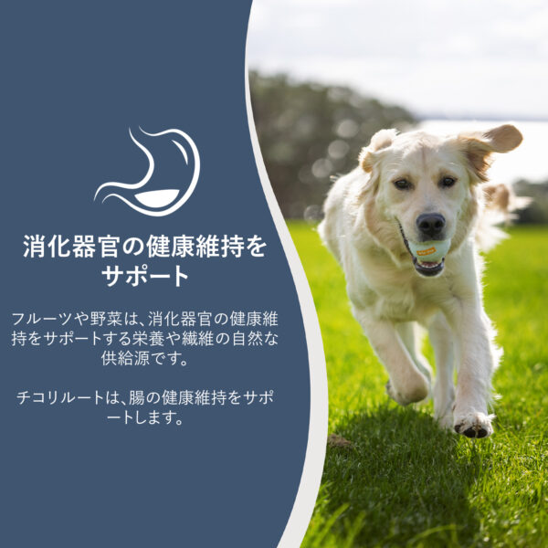 ZIWI PEAK / ドッグ缶　ベニソンレシピ - 画像 (4)