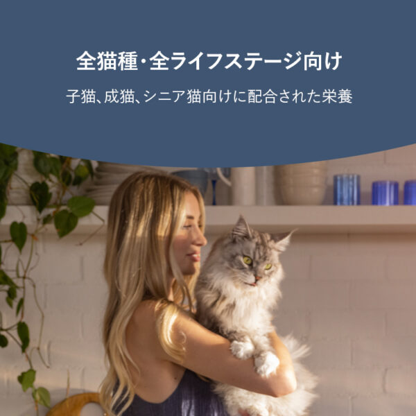 ZIWI PEAK / キャット缶　ベニソンレシピ - 画像 (5)