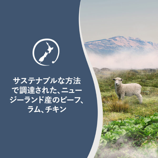 ZIWI PEAK / スチーム＆ドライ・ドッグフード　ラム - 画像 (4)