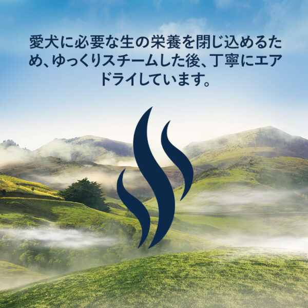 ZIWI PEAK / エアドライ・ドッグフード ラムレシピ - 画像 (6)