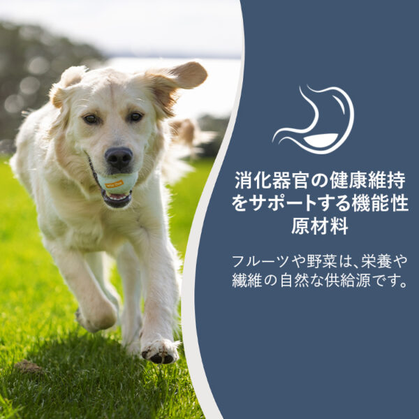 ZIWI PEAK / スチーム＆ドライ・ドッグフード　ラム - 画像 (9)