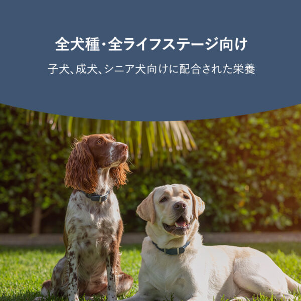 ZIWI PEAK / エアドライ・ドッグフード ラムレシピ - 画像 (4)