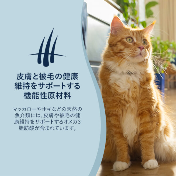 ZIWI PEAK / エアドライ・キャットフード ビーフレシピ - 画像 (2)