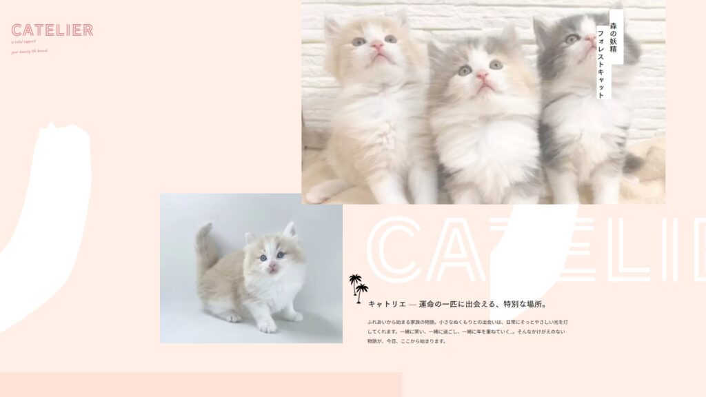 CATELIER-キャトリエ-さま
