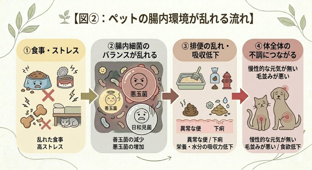 ペットの腸内環境が乱れる流れ