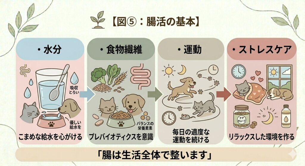 腸活の基本